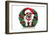 Xmas Dog-Javier Brosch-Framed Photographic Print