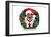 Xmas Dog-Javier Brosch-Framed Photographic Print