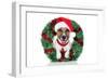 Xmas Dog-Javier Brosch-Framed Photographic Print