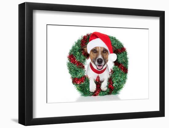 Xmas Dog-Javier Brosch-Framed Photographic Print