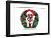 Xmas Dog-Javier Brosch-Framed Photographic Print