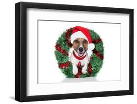 Xmas Dog-Javier Brosch-Framed Photographic Print