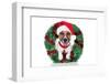 Xmas Dog-Javier Brosch-Framed Photographic Print