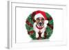 Xmas Dog-Javier Brosch-Framed Photographic Print