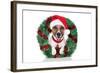 Xmas Dog-Javier Brosch-Framed Photographic Print