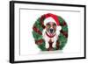 Xmas Dog-Javier Brosch-Framed Photographic Print