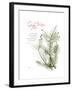 Xmas Evergreen-Albert Koetsier-Framed Premium Giclee Print