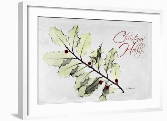 Xmas Holly L297-Albert Koetsier-Framed Art Print