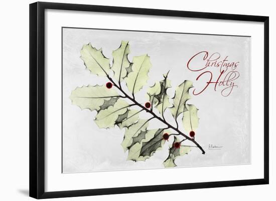 Xmas Holly L297-Albert Koetsier-Framed Art Print