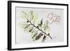 Xmas Holly L297-Albert Koetsier-Framed Art Print