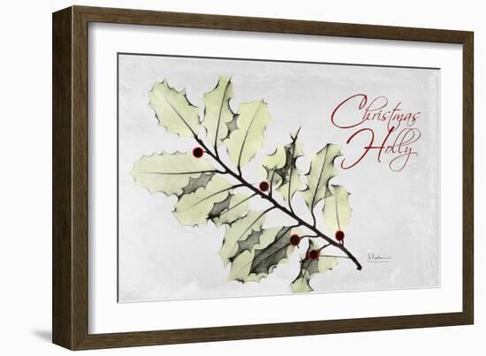 Xmas Holly L297-Albert Koetsier-Framed Art Print