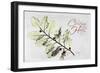 Xmas Holly L297-Albert Koetsier-Framed Art Print