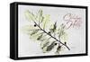 Xmas Holly L297-Albert Koetsier-Framed Stretched Canvas