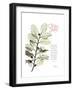 Xmas Holly-Albert Koetsier-Framed Premium Giclee Print