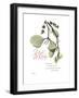 Xmas Mistletoe-Albert Koetsier-Framed Premium Giclee Print