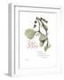 Xmas Mistletoe-Albert Koetsier-Framed Premium Giclee Print