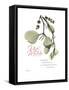 Xmas Mistletoe-Albert Koetsier-Framed Stretched Canvas