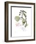 Xmas Mistletoe-Albert Koetsier-Framed Premium Giclee Print