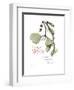 Xmas Mistletoe-Albert Koetsier-Framed Premium Giclee Print