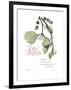 Xmas Mistletoe-Albert Koetsier-Framed Premium Giclee Print