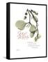 Xmas Mistletoe-Albert Koetsier-Framed Stretched Canvas