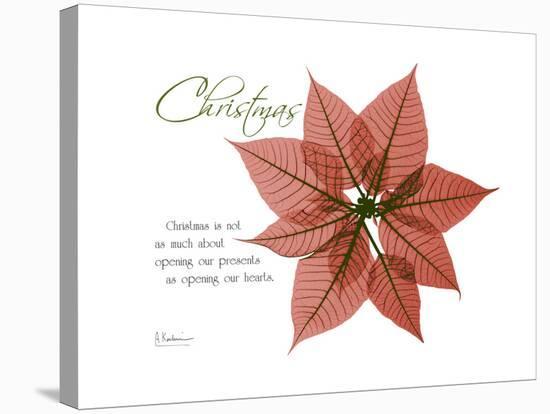 Xmas Poinsettia-Albert Koetsier-Stretched Canvas