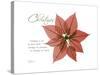 Xmas Poinsettia-Albert Koetsier-Stretched Canvas