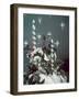 Xmas Table Setting-Charles Woof-Framed Photographic Print