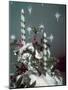 Xmas Table Setting-Charles Woof-Mounted Photographic Print