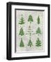 Xmas Trees-Erin Clark-Framed Giclee Print