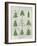 Xmas Trees-Erin Clark-Framed Giclee Print