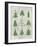 Xmas Trees-Erin Clark-Framed Giclee Print