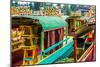 Xochimilco, Mexico City-Paco Forriol-Mounted Photographic Print