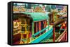 Xochimilco, Mexico City-Paco Forriol-Framed Stretched Canvas