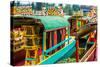 Xochimilco, Mexico City-Paco Forriol-Stretched Canvas