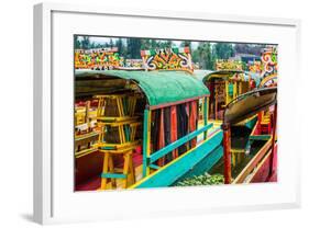 Xochimilco, Mexico City-Paco Forriol-Framed Photographic Print