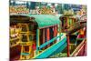 Xochimilco, Mexico City-Paco Forriol-Mounted Photographic Print