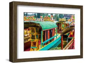 Xochimilco, Mexico City-Paco Forriol-Framed Photographic Print