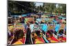 Xochimilco's Floating Gardens-null-Mounted Art Print