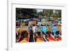 Xochimilco's Floating Gardens-null-Framed Art Print