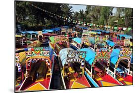 Xochimilco's Floating Gardens-null-Mounted Art Print