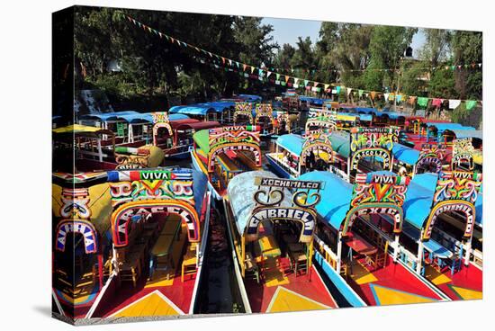 Xochimilco's Floating Gardens-null-Stretched Canvas