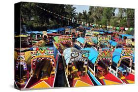Xochimilco's Floating Gardens-null-Stretched Canvas