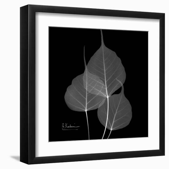 Xray Bo Tree-Albert Koetsier-Framed Art Print