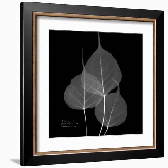 Xray Bo Tree-Albert Koetsier-Framed Art Print