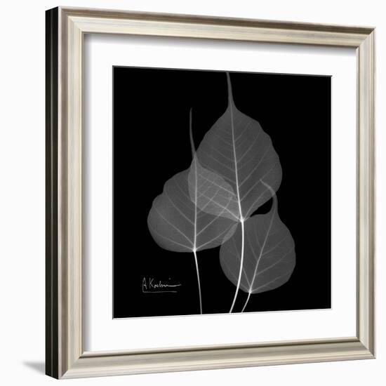 Xray Bo Tree-Albert Koetsier-Framed Art Print