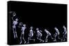 Xray of Human Skeleton Playing Basketball-riccardocova-Stretched Canvas