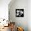 Xray Orchid-Albert Koetsier-Mounted Premium Giclee Print displayed on a wall