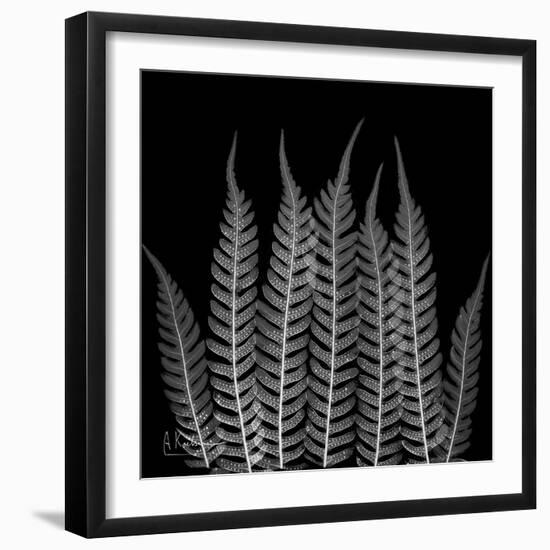 Xray Tree Fren-Albert Koetsier-Framed Premium Giclee Print