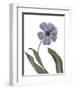 Xray Tulip X-Judy Stalus-Framed Photographic Print